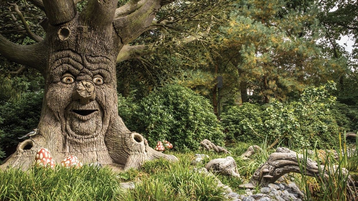 Smiling tree with a face, surrounded by foliage and toadstools in the Fairytale Forest at Efteling.