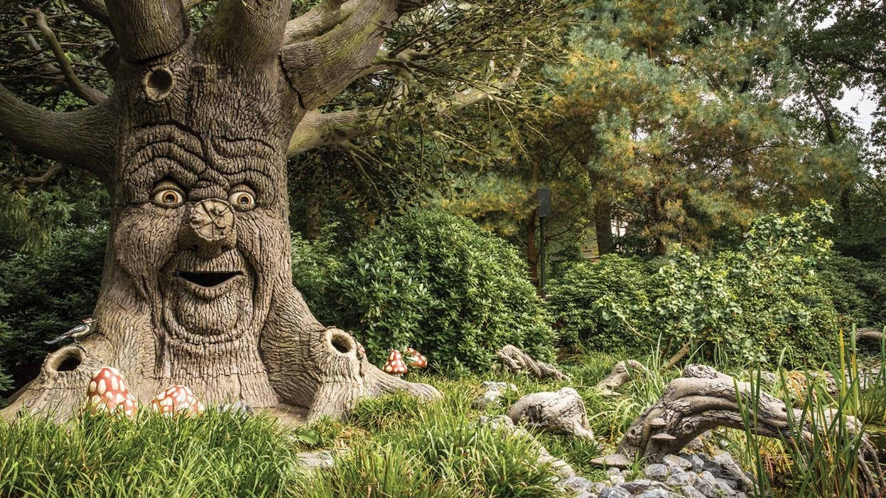 Smiling tree with a face, surrounded by foliage and toadstools in the Fairytale Forest at Efteling.