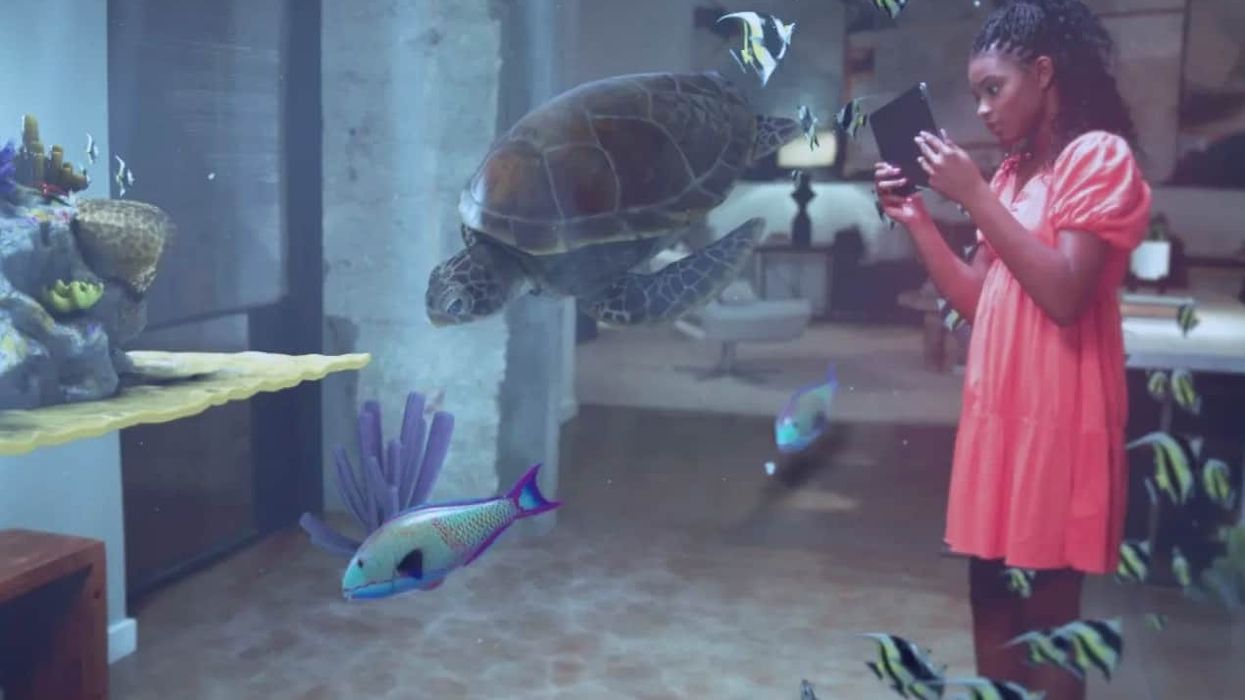 smithsonian adobe ar project