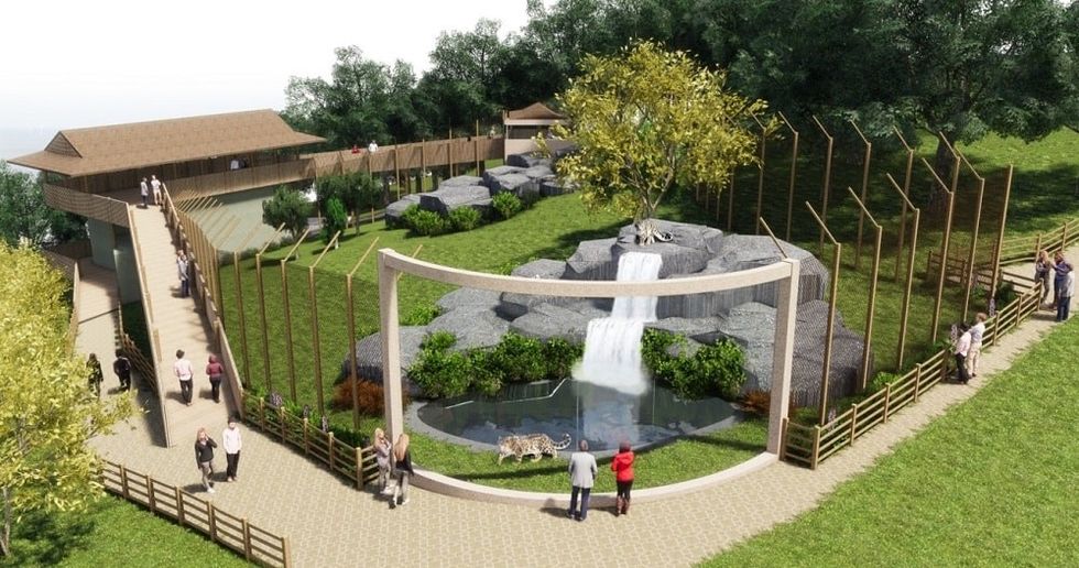 Snow leopard. Welsh Mountain Zoo. Enclosure. Silk Road. China.