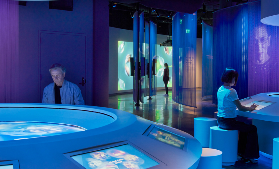 Social Lab - interactive screens