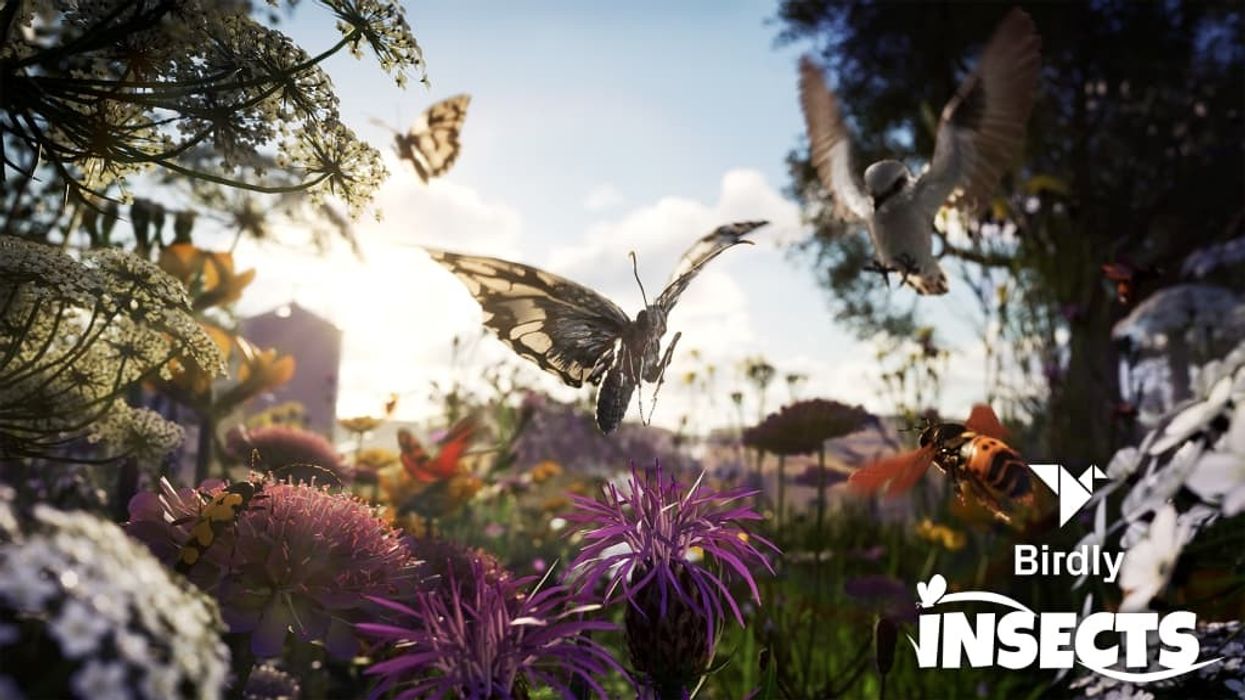 SOMNIACS Birdly Insects