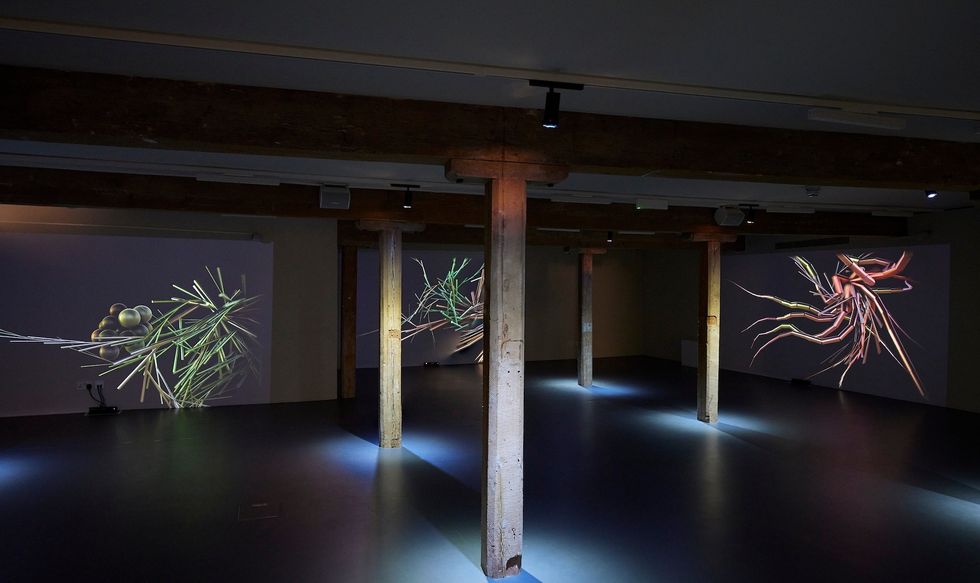 sound of the sea exhibition poole museum