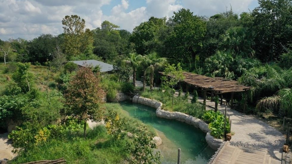 South-Americas-Pantanal-Houston-Zoo