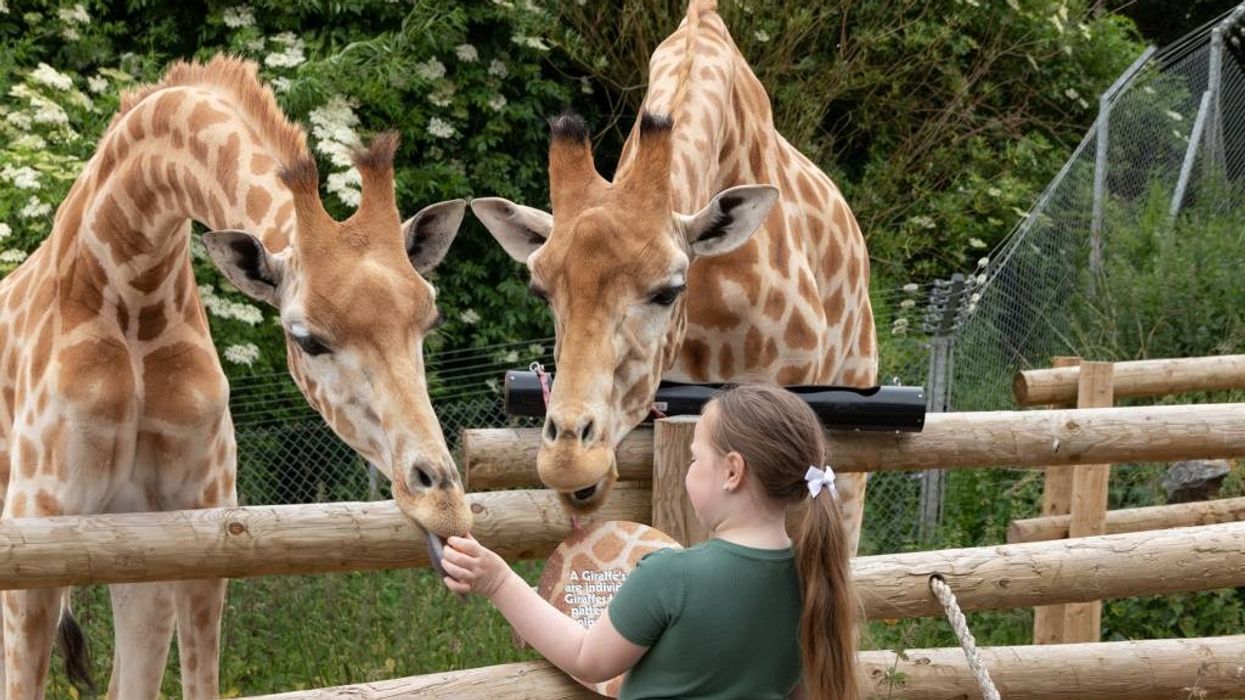 south lakes safari zoo