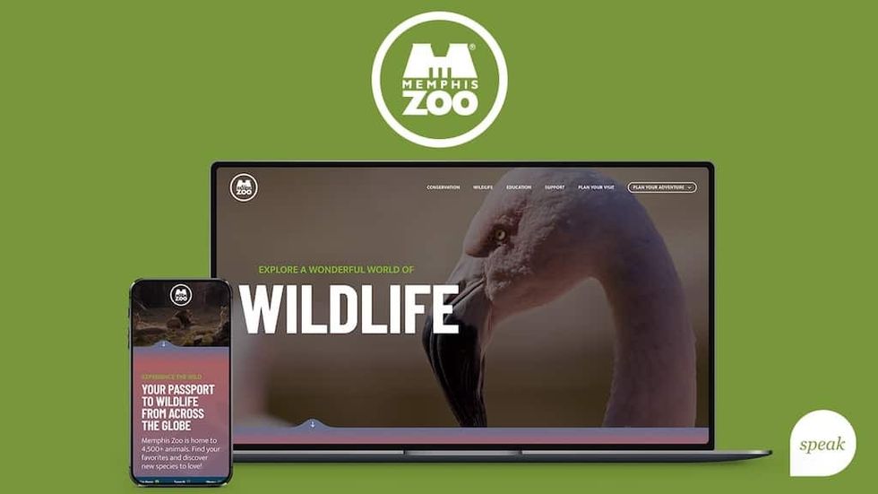 Speak Creative case study