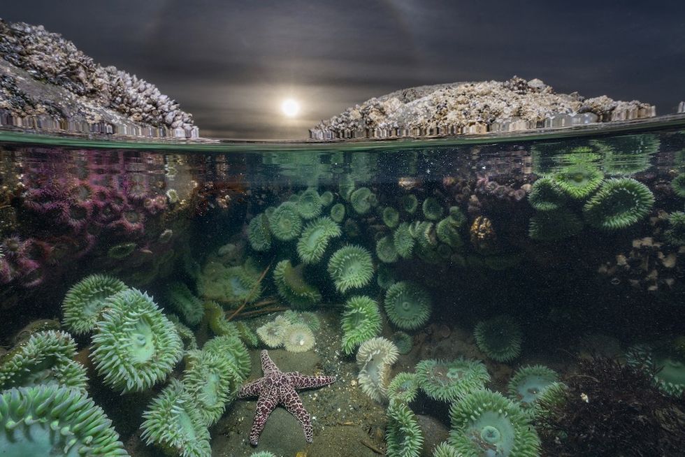 Spectacle cr Keith Ladzinski National Geographic