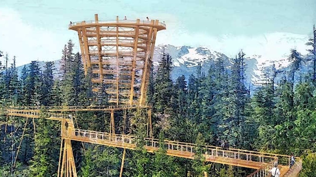 Spectacular tree canopy walk planned for Sea to Sky Gondola, BC