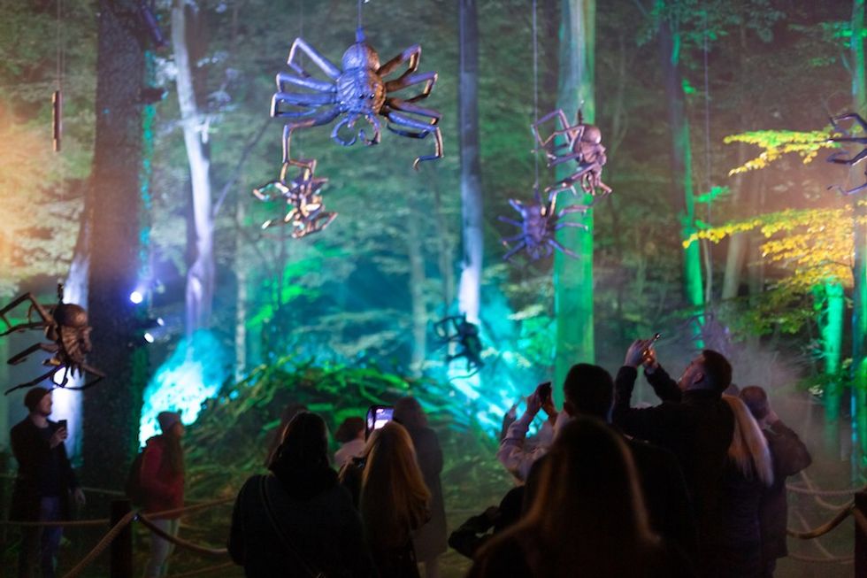 Spiders Harry Potter Forest Experience