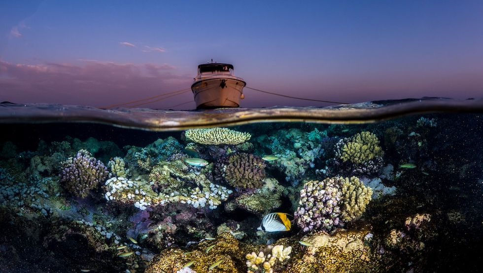 Split view of a boat above vibrant coral reef underwater at sunset at The Red Sea