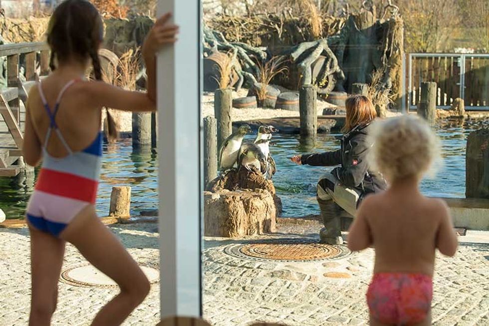 Spreeweltenbad Lubbenau dan pearlman