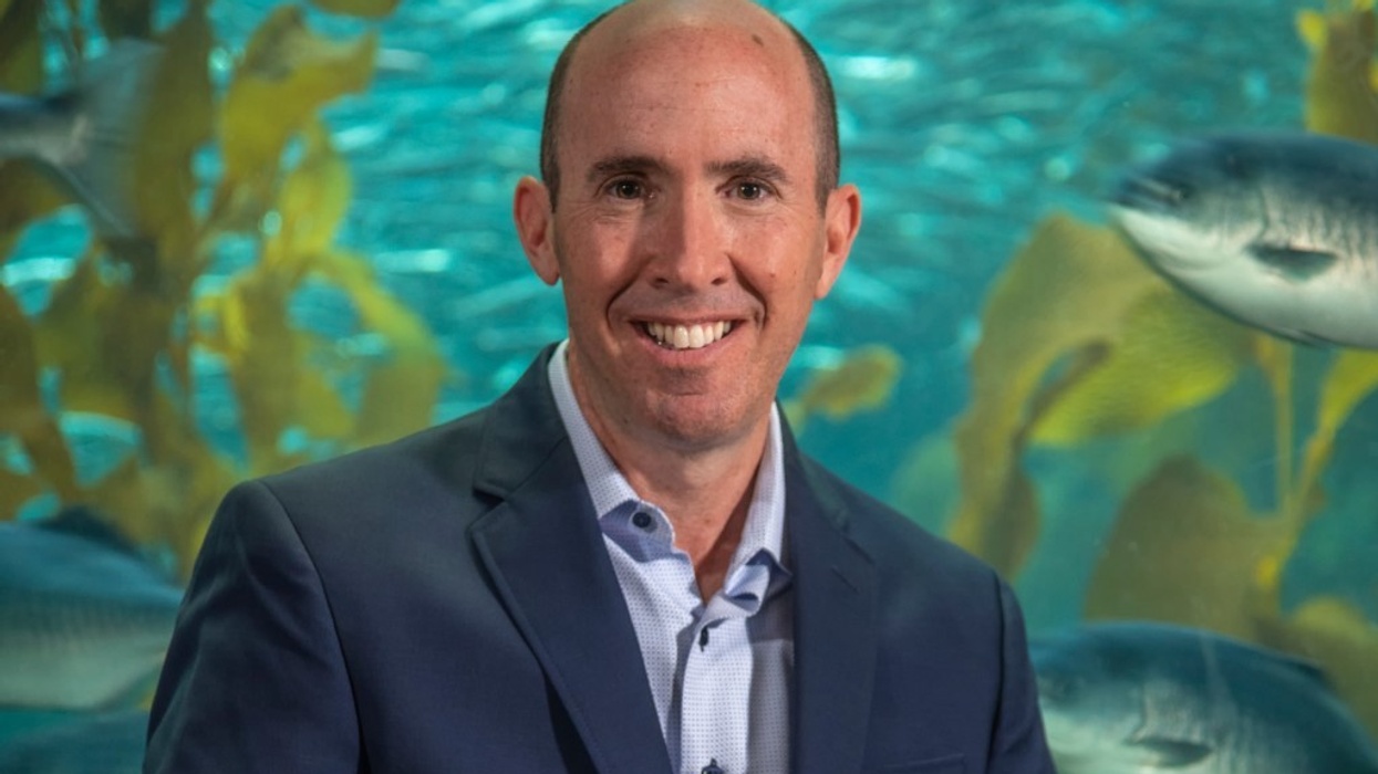 SSA Group David Rosenberg joins SSA Ventures headshot