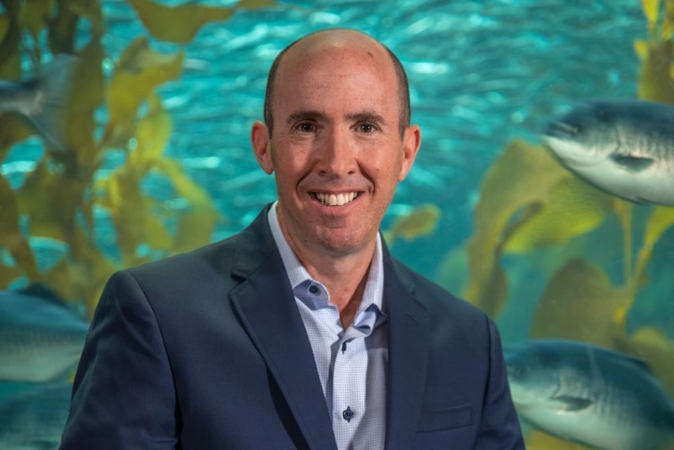 SSA Group David Rosenberg joins SSA Ventures headshot