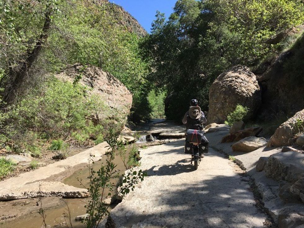 SSI team on field recording trip