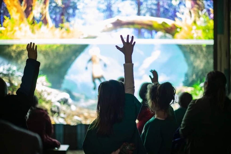 St Louis Aquarium kids engaged
