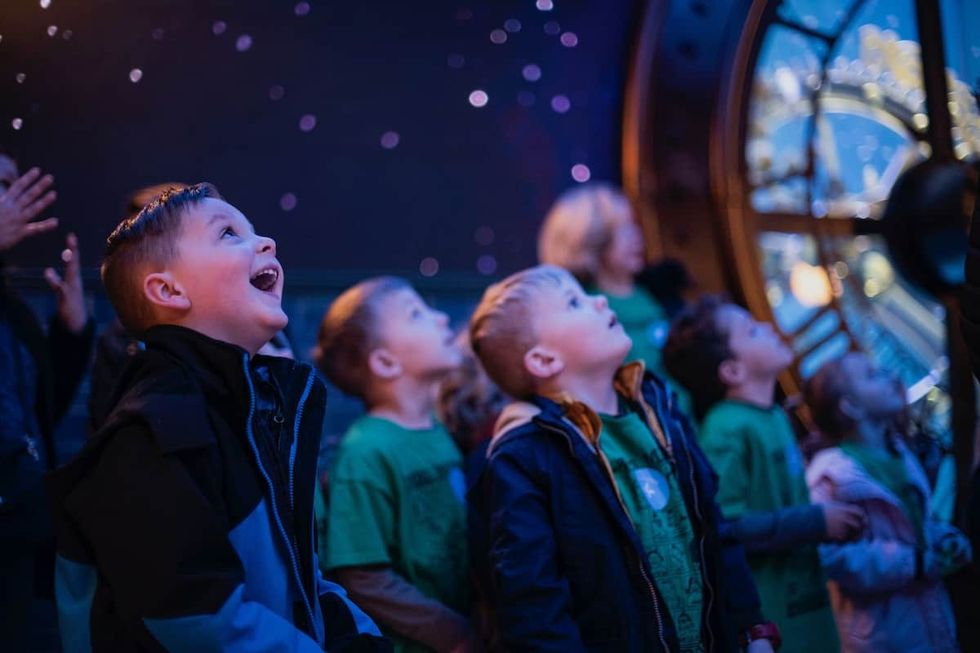 St Louis Aquarium kids wow