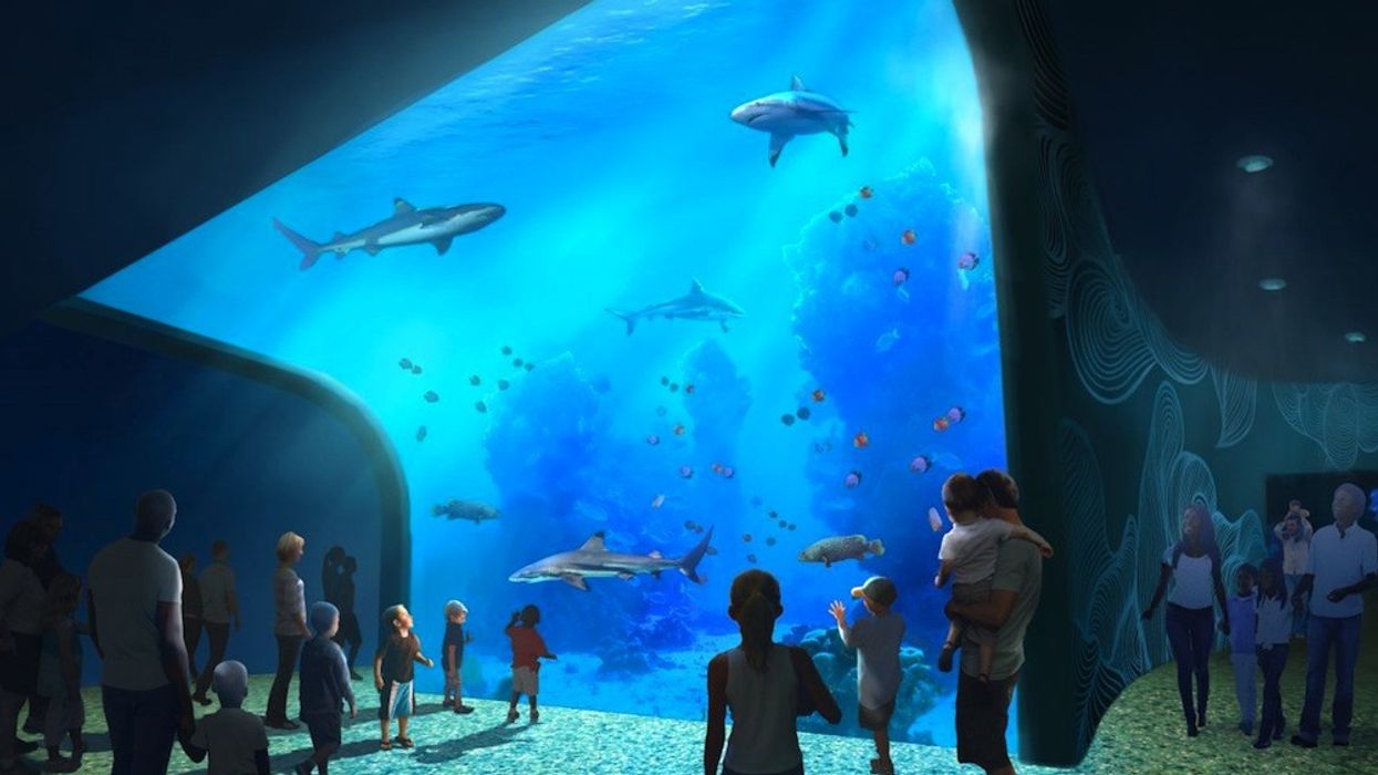 St Louis Union Station Aquarium 1