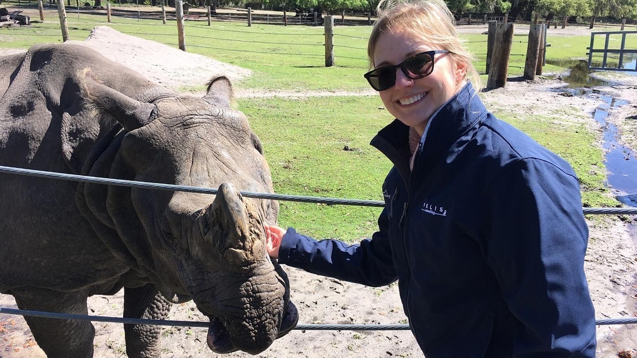 Stacey Ludlum petting a rhino through a fence in a grassy area, smiling and wearing sunglasses.