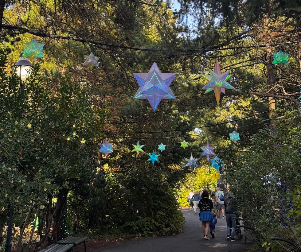 Star-shaped lights hang above a park pathway with people walking below.