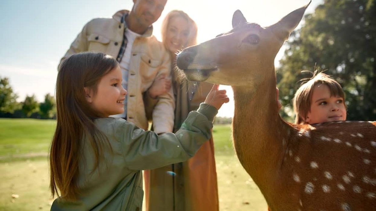 Staycations vs Vacations Deer Park