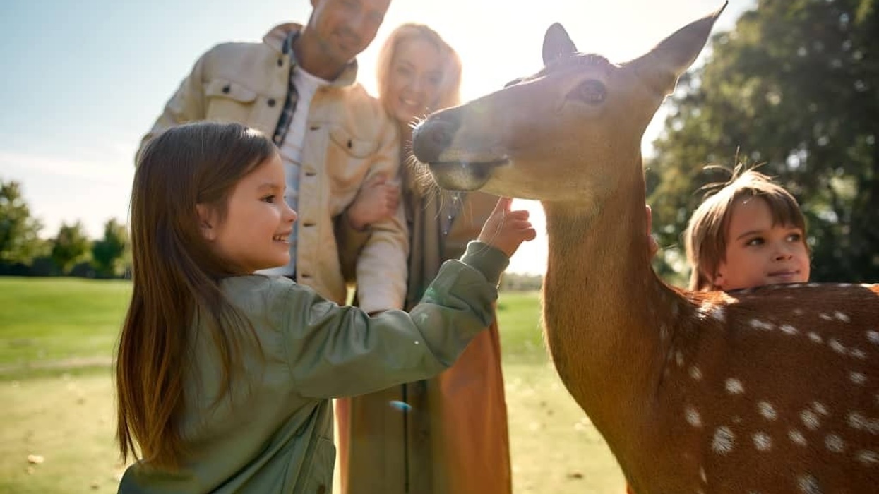 Staycations vs Vacations Deer Park