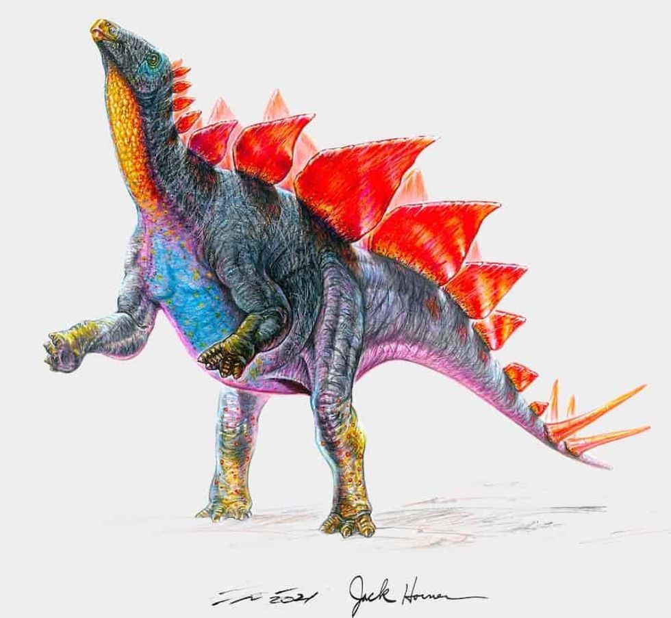 Stegosaurus Jack Horner_NFTs