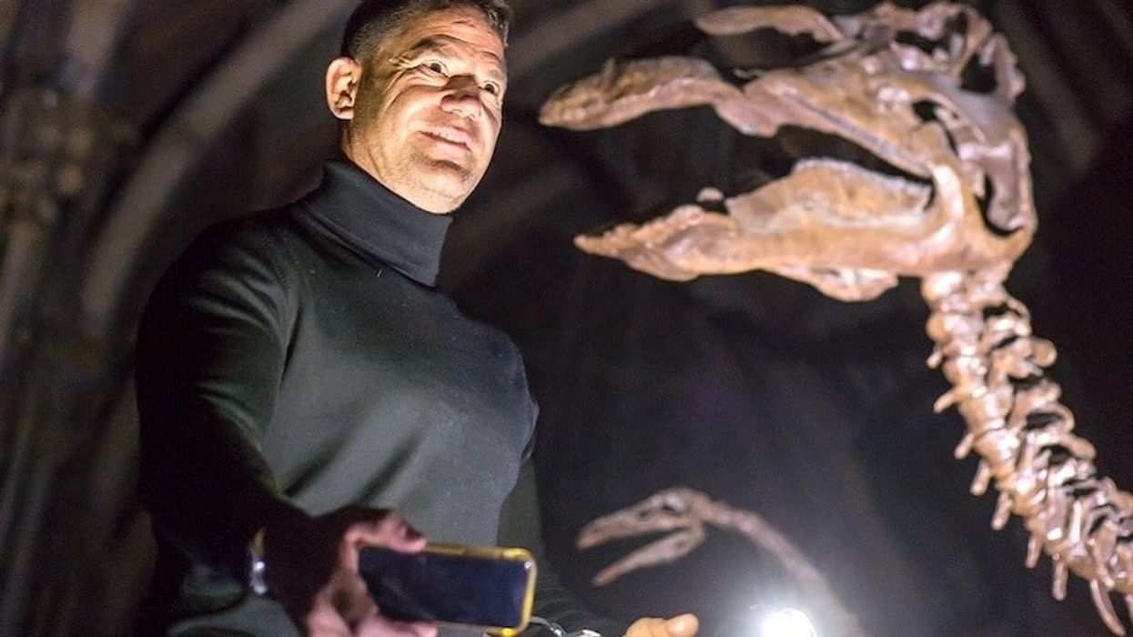 steve backshall mystery at the museum