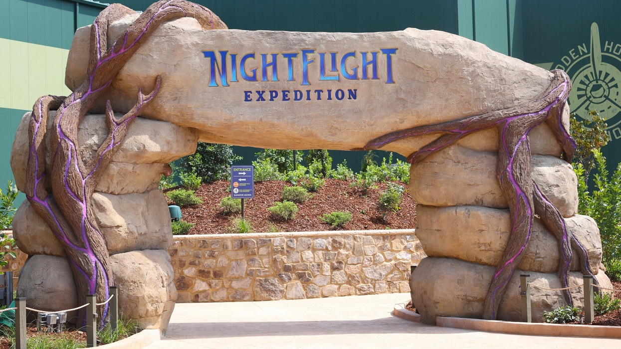Stone archway with "Night Flight Expedition" sign and decorative purple vines at Dollywood