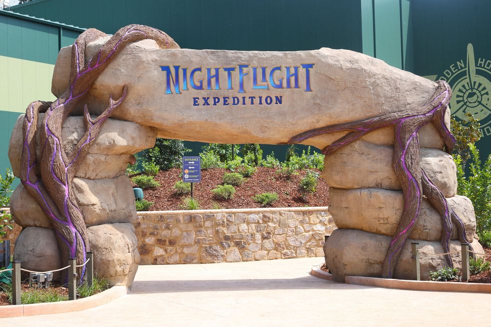 Stone archway with "Night Flight Expedition" sign and decorative purple vines at Dollywood