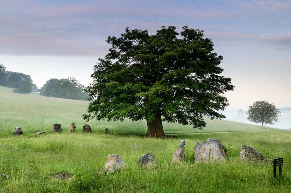 Stonor-Parks-stone-circle