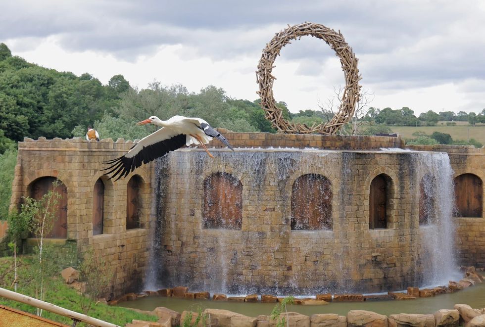 Stork flying past stone structure with waterfall and large circular sculpture at Kynren \u2013 The Storied Lands