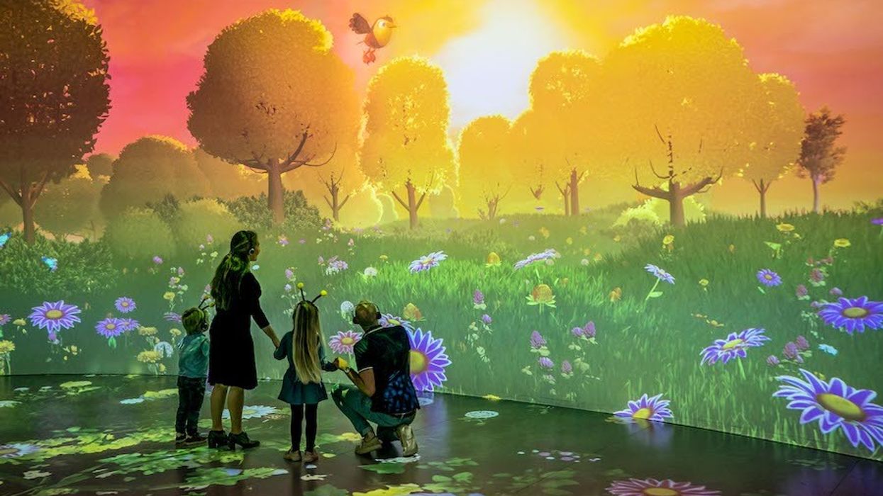 Studio 100 story studio Maya the Bee