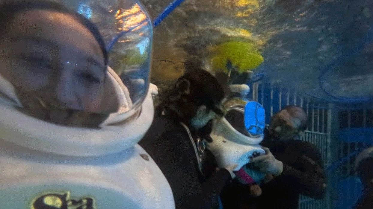 Sub Sea Systems Lola Sender