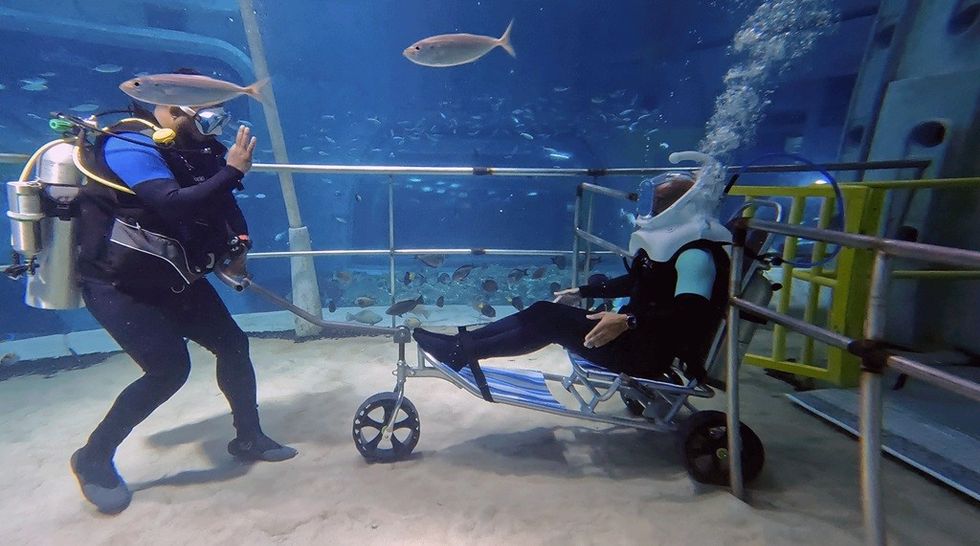 Sub Sea Systems Sub Sea Creative SeaTREK Adapted