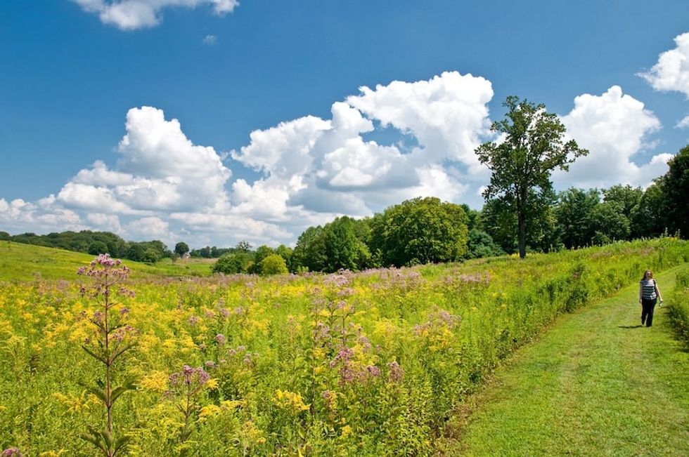 summer at Longwood Gardens