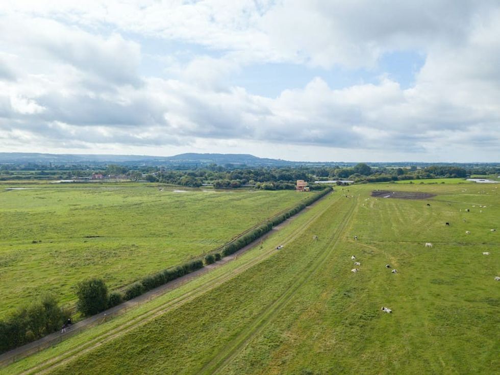 Summer Walkway Slimbridge