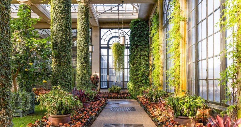 Sunlit greenhouse interior at Longwood Gardens with tall green columns and lush plants.