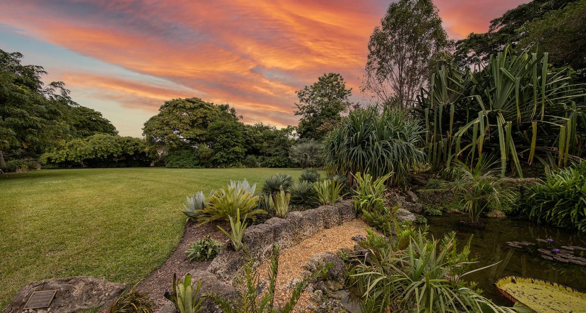 Sunset at Fairchild Tropical Garden