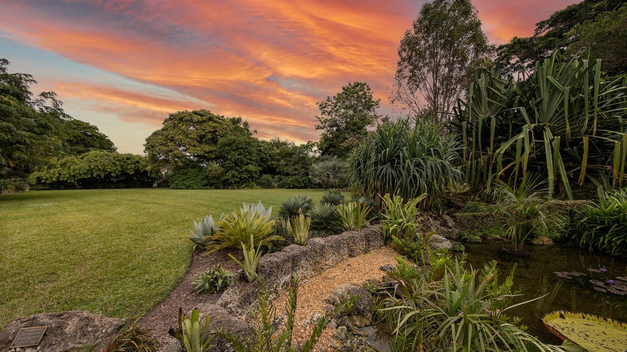 Sunset at Fairchild Tropical Garden