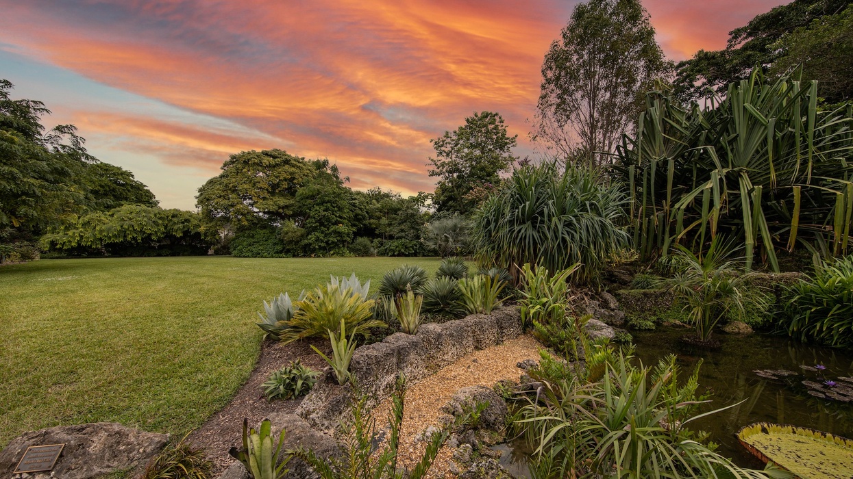 Sunset at Fairchild Tropical Garden