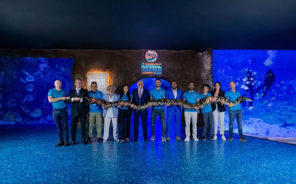 Super Snake at National Aquarium Abu Dhabi