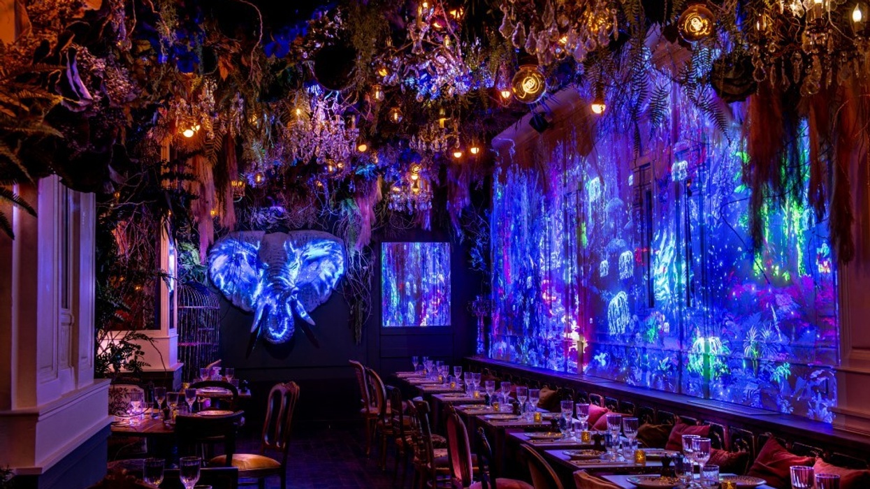 SUPERBIEN Jungle Palace courtesy Fred Durantet