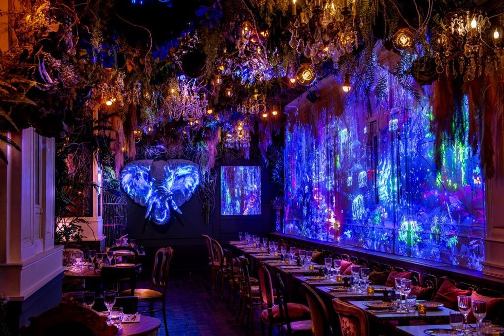 SUPERBIEN Jungle Palace courtesy Fred Durantet