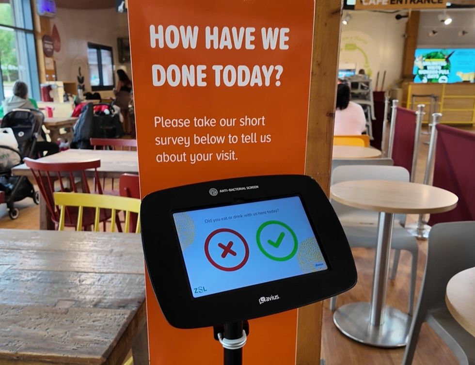 Survey kiosk in a cafe with "How have we done today?" sign above.