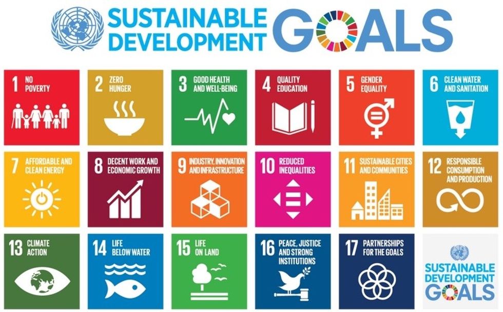 Sustainable development goals