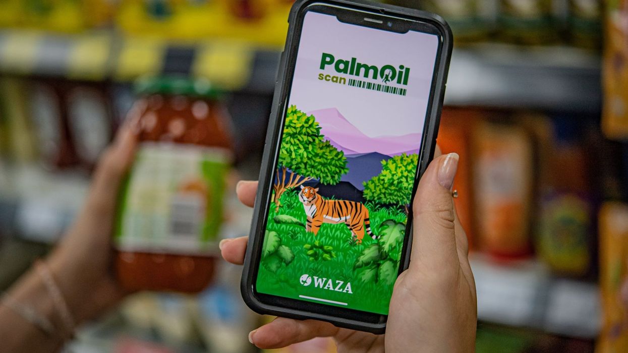 Sustainable Palm Oil Communities