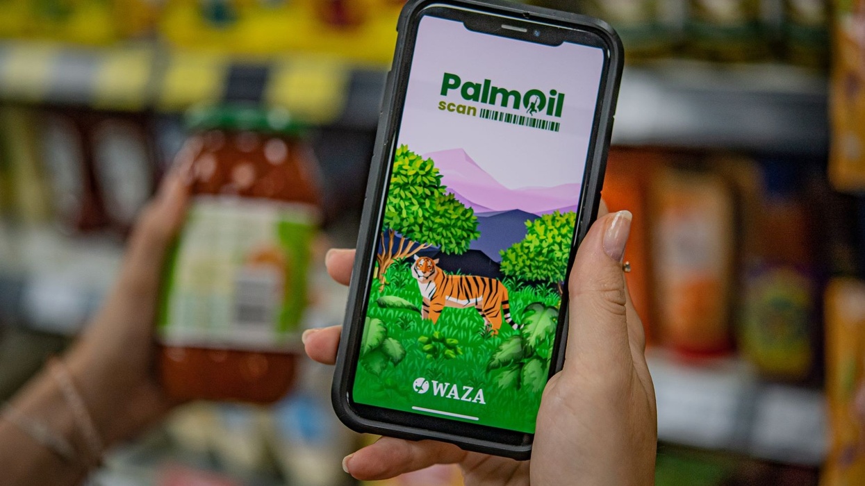 Sustainable Palm Oil Communities