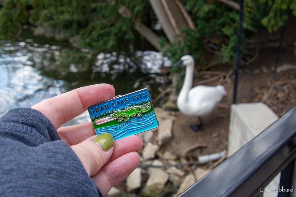 swan lake alligator pin SSA Cincinnati Zoo