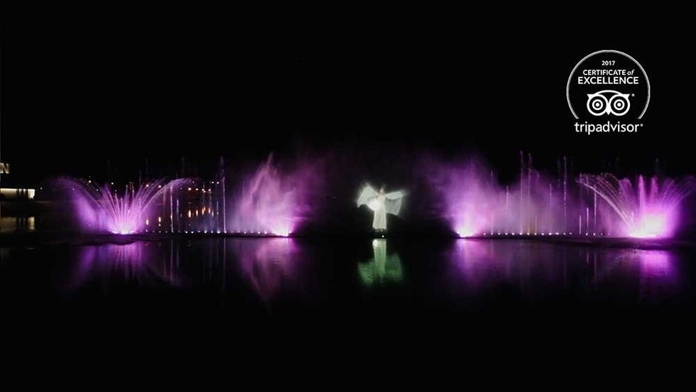 swan lake Emotion Media Factory