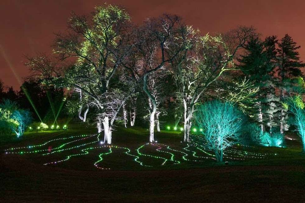 Symphony Woods. morton-arboretum-illumination-seasonal-events